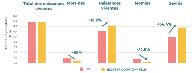 Figure 4. Analyse des caractéristiques des portées